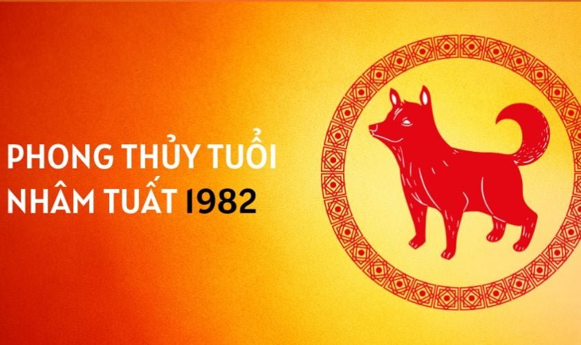 tuoi nham tuat co nen deo vang 1 2bdc17716f4d4b918d39b7baa854fb96 1