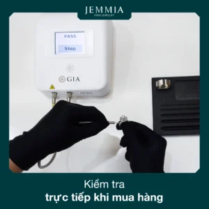 404600074 749379227208171 8544480667643726126 n 300x300 1