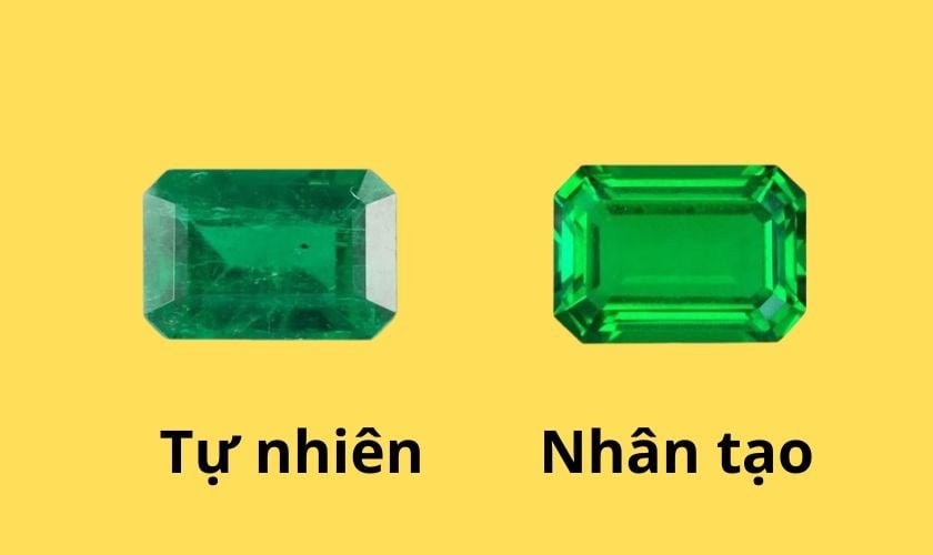 ach nhan biet da quy ngoai tu nhien 1 3714921ab8fc46c696bdab021ff0a038 1