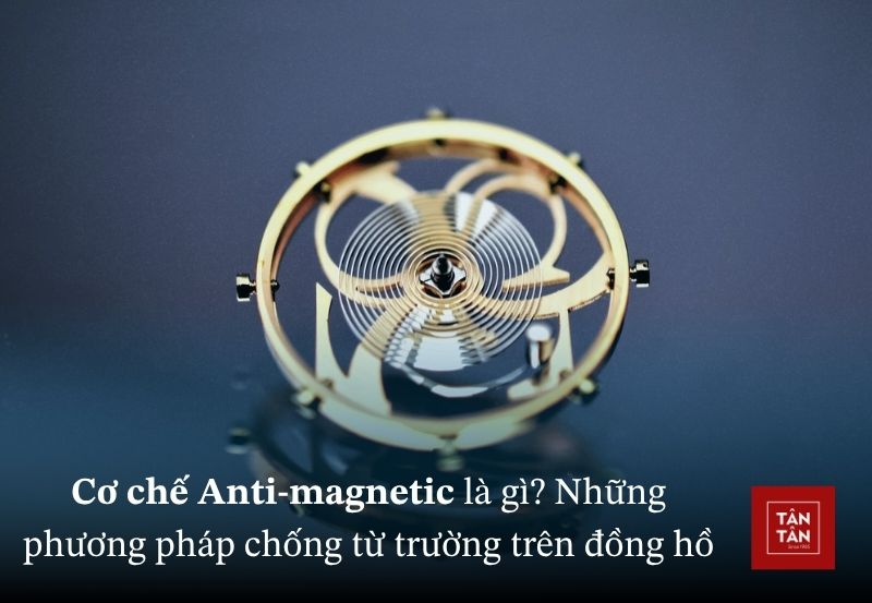 anti magnetic 6