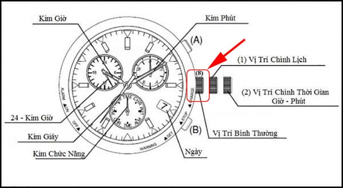 cách chỉnh đồng hồ citizen automatic