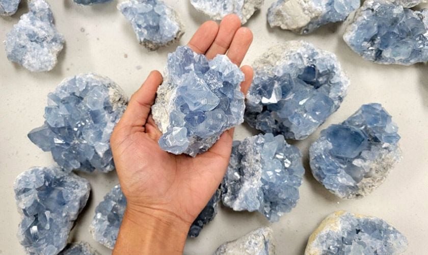 da celestine 1 8d9f2cdec3984a6faf7b03dc7251770c 1