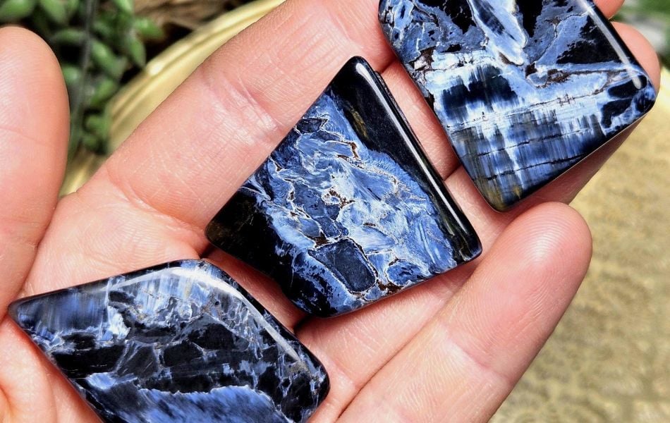 da giong bao 1 4cce2794abad4ef8bddd8d169c6622b7