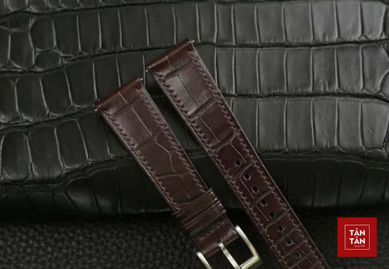 dacc82y da ca sacc82cc81u thacc82t la gi