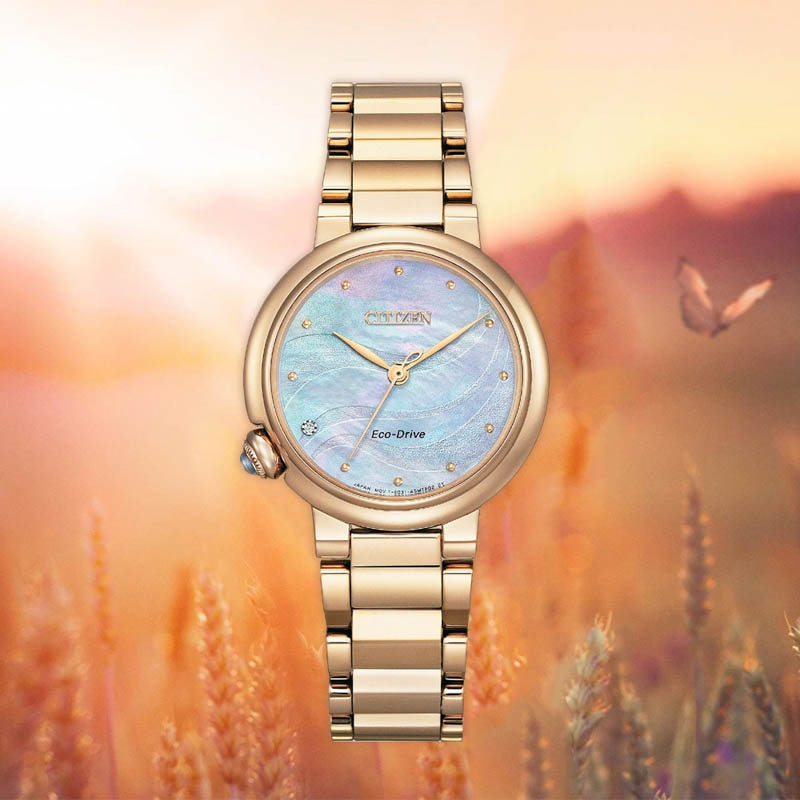 Đồng hồ Citizen Eco-Drive EM0919-85Y