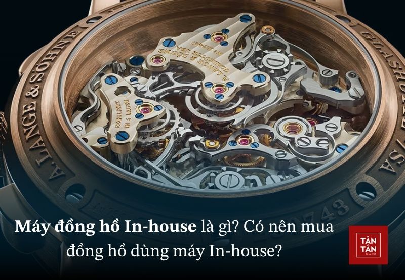 dong ho in house
