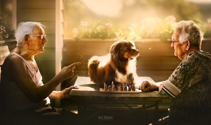 Lễ kỷ niệm ấm cúng tại nhà