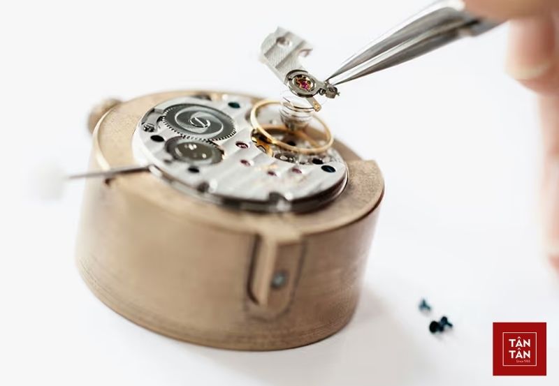 may dong ho in house