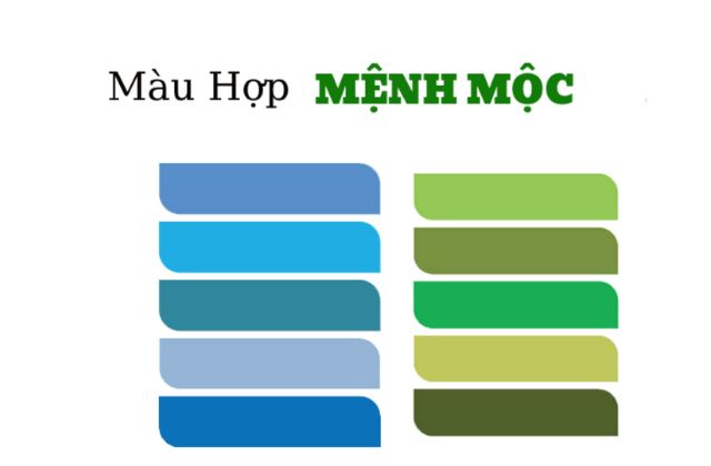 Màu sắc hợp với mệnh Mộc