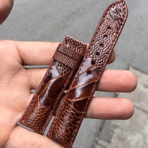 dây da đà điểu