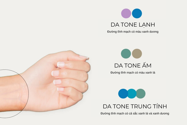 them tieu de phu 172dbe0d5238416cabd80ff91fe25169 grande 1